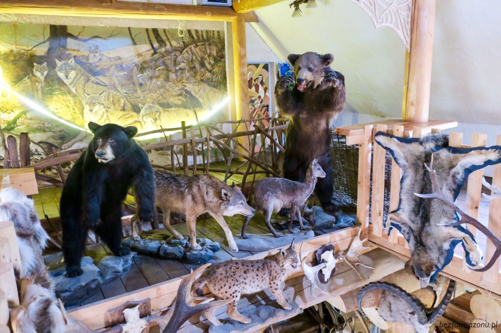 Bo dziczyzna zdrowa jest, więc raz na czas ją trzeba zjeść! Wilcza Jama – SMOLNIK,&nbsp;Lutowiska